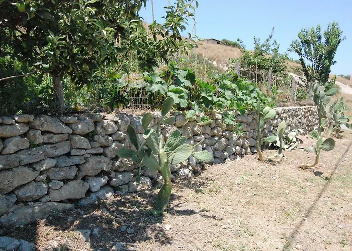 Old Winery House