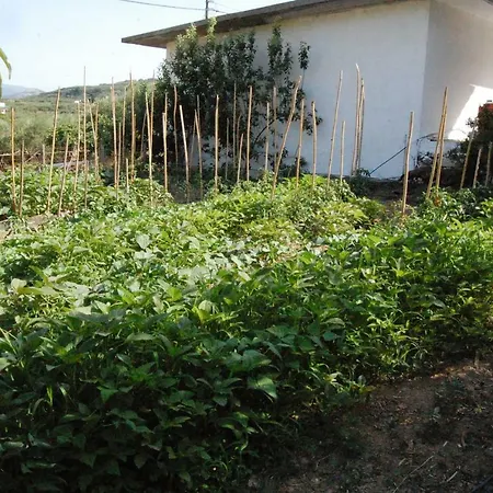 Old Winery House Villa Kolymbari Exterior photo